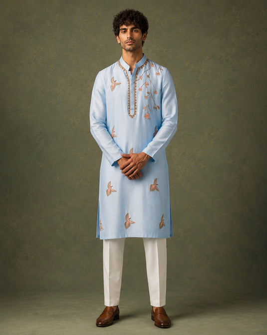Birdsong Blue Kurta